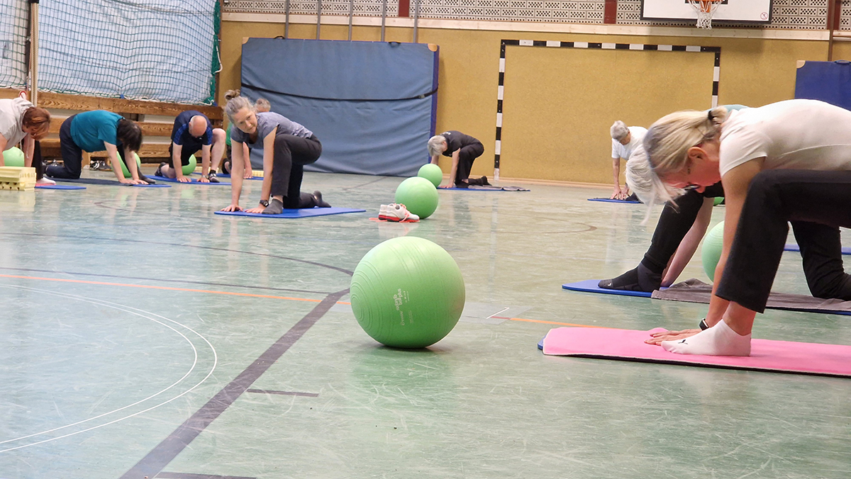 Erwachsene Teilnehmende in einer Turnhalle beugen sich auf Matten in Dehnpositionen, grüne Gymnastikbälle liegen bereit.