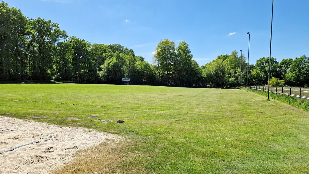 Grüner Sportplatz unter blauem Himmel mit umliegenden Bäumen und Flutlichtmasten.